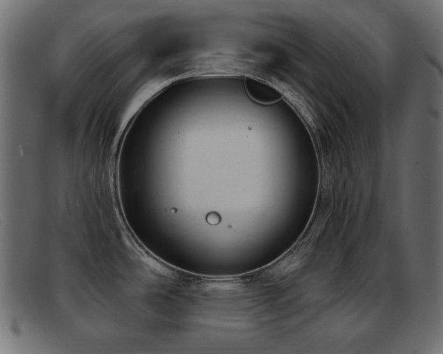 X0000093361486200710111445