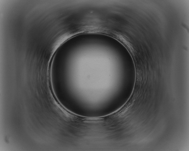 X0000093361487200710111445