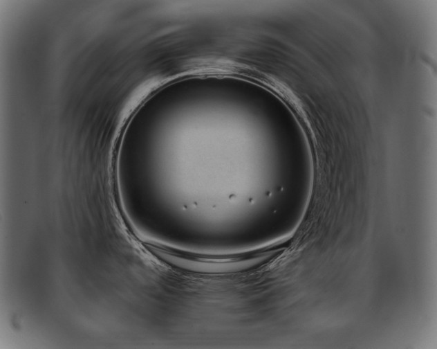 X0000093361488200710111445