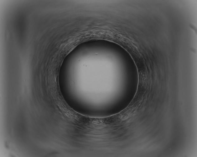 X0000093361489200710111445