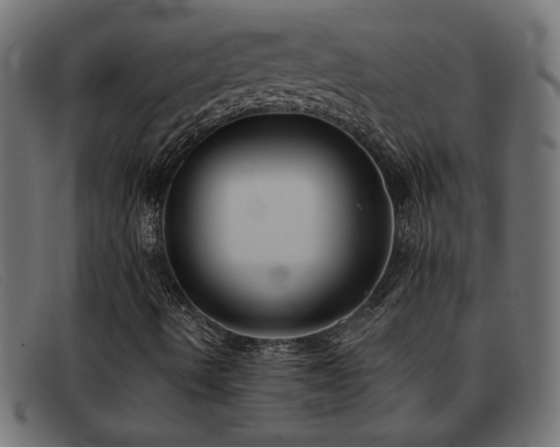 X0000093361490200710111445