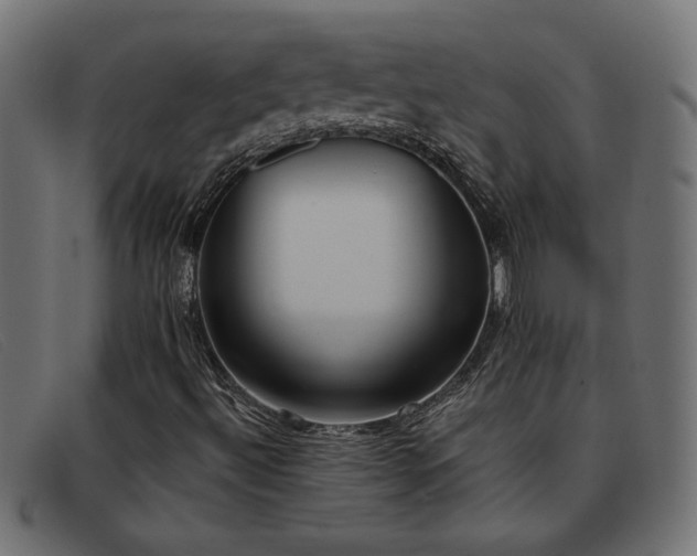 X0000093361492200710111445