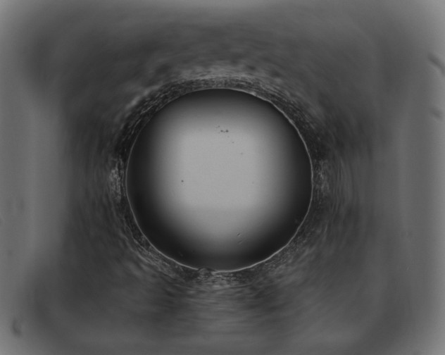 X0000093361493200710111445