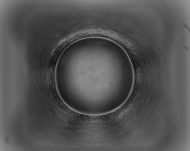 X0000093361494200710111445