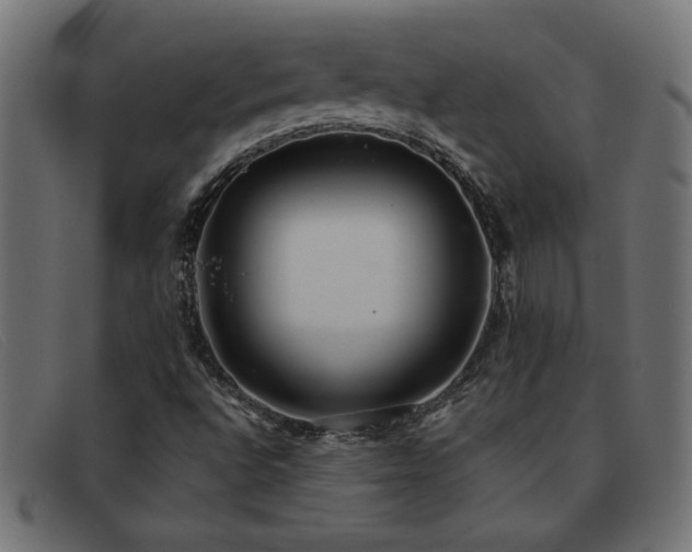 X0000093361496200710111445
