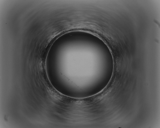 X0000093361497200710111445