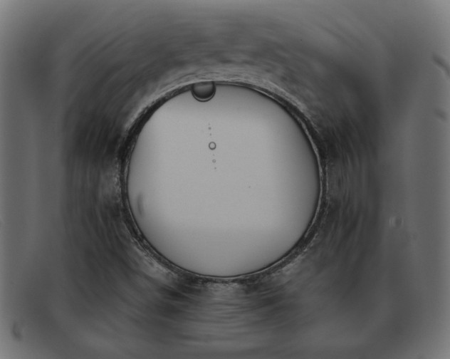 X0000093361498200710111445