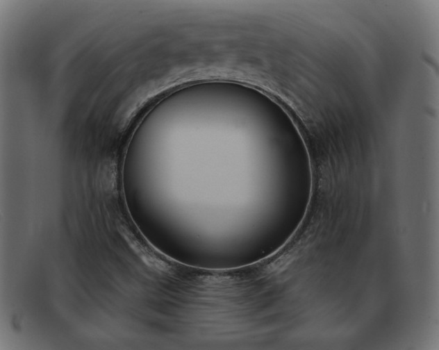 X0000093361499200710111445