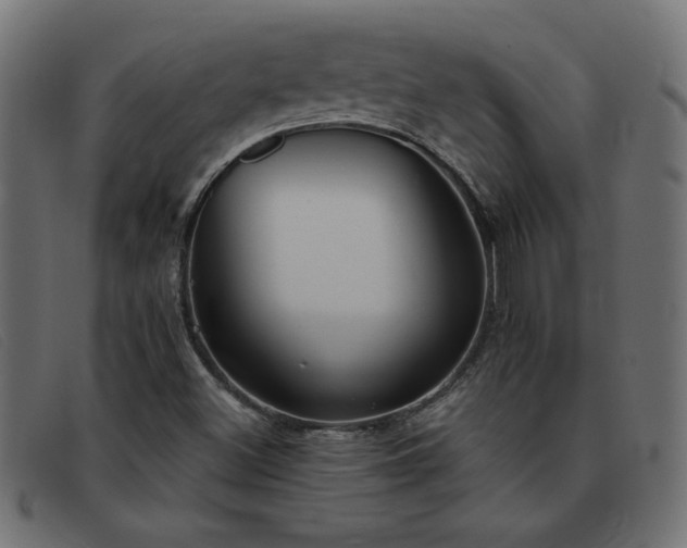 X0000093361500200710111445