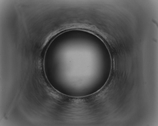 X0000093361501200710111445