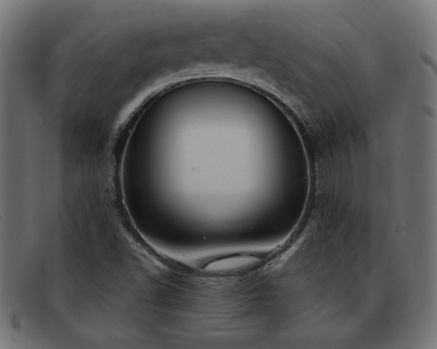 X0000093361502200710111445