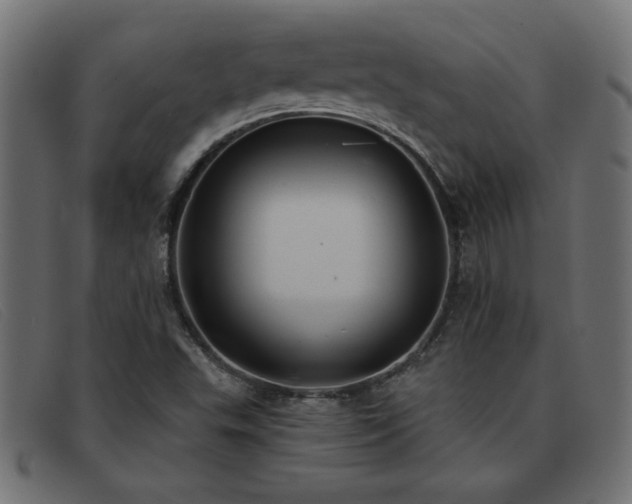 X0000093361503200710111445