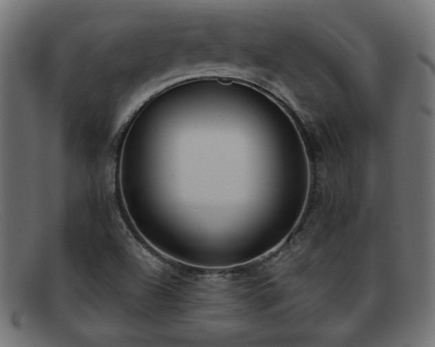 X0000093361504200710111445