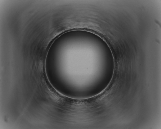 X0000093361505200710111445