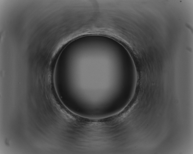 X0000093361506200710111445