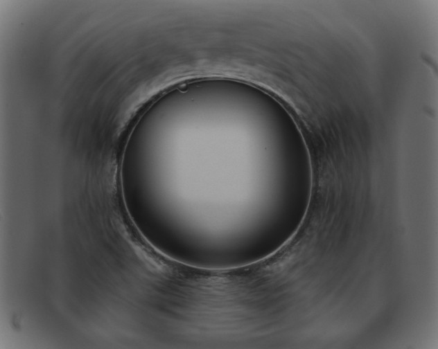 X0000093361507200710111445