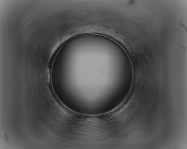 X0000093361509200710111445