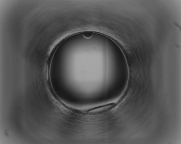 X0000093361510200710111445