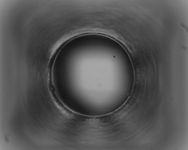 X0000093361511200710111445