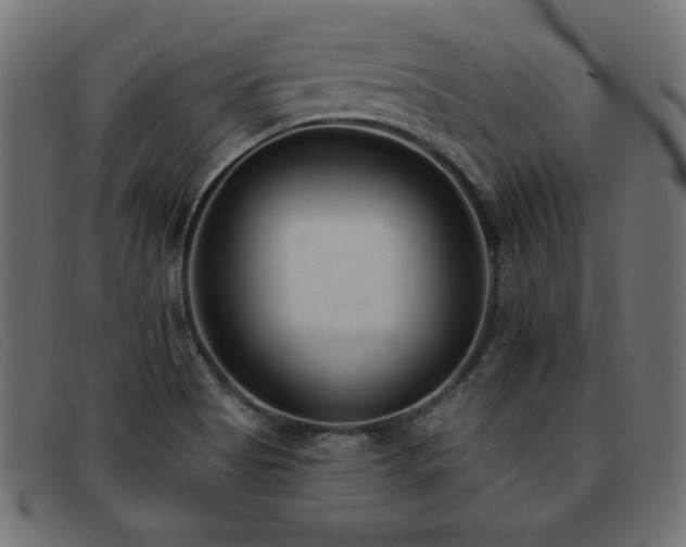 X0000093361513200710111445