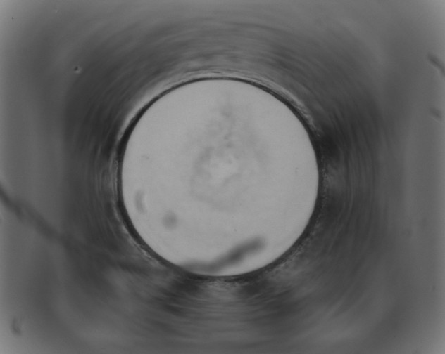 X0000093361514200710111445