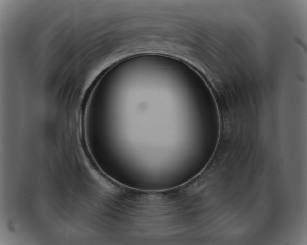 X0000093361515200710111445