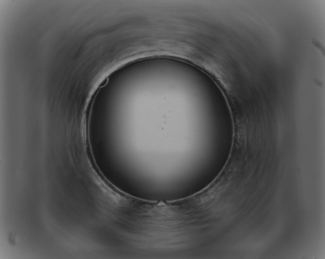 X0000093361516200710111445