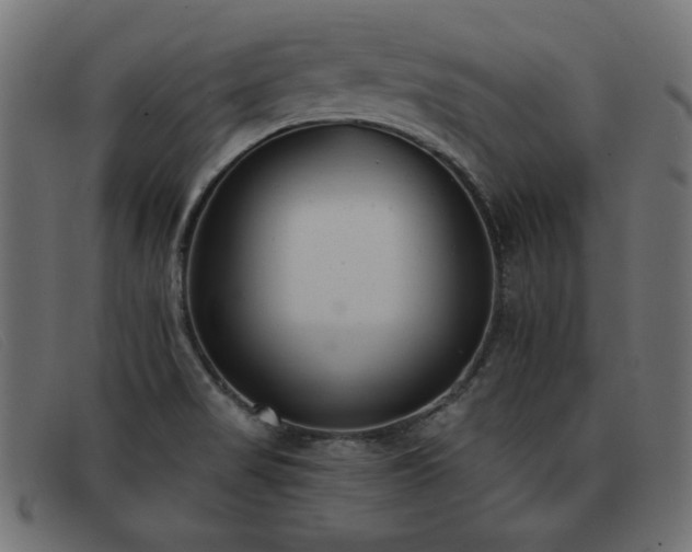 X0000093361517200710111445