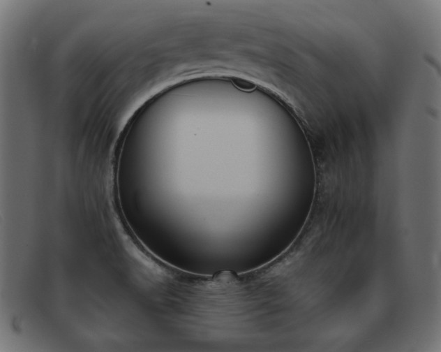 X0000093361518200710111445