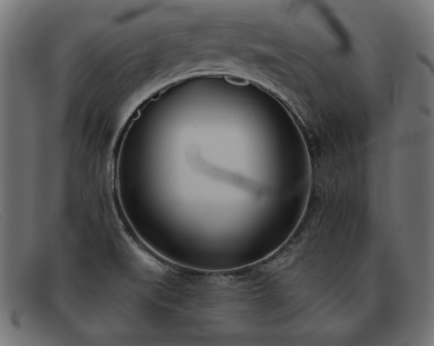 X0000093361519200710111445