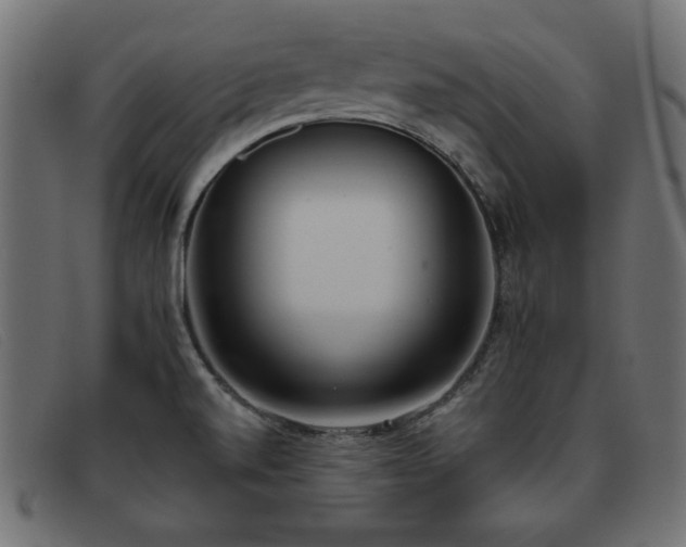 X0000093361520200710111445