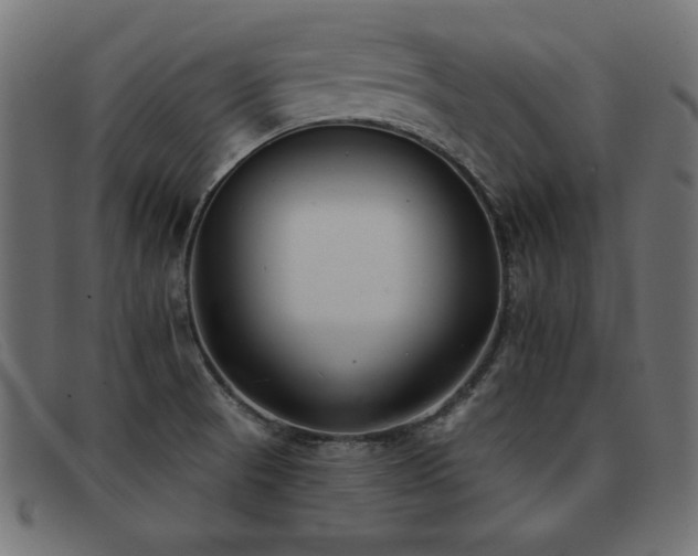 X0000093361521200710111445