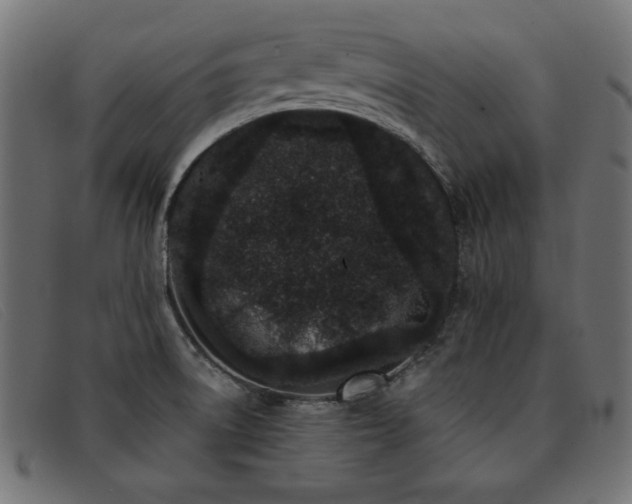 X0000093361522200710111445