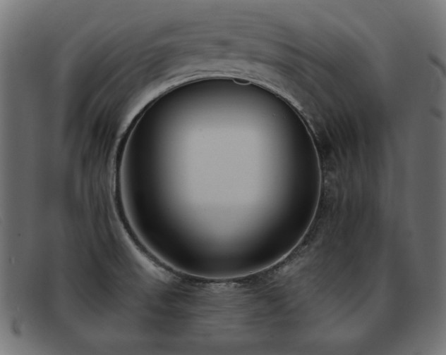 X0000093361523200710111445