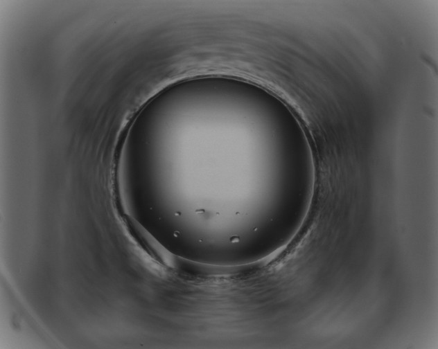 X0000093361525200710111445