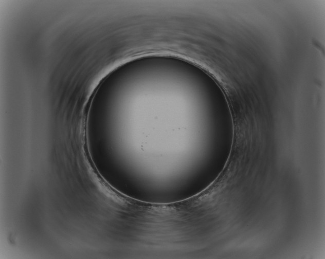 X0000093361526200710111445