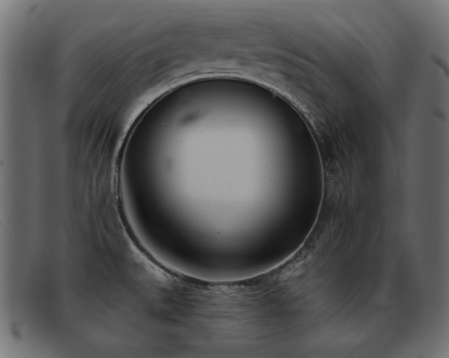 X0000093361527200710111445