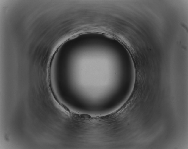 X0000093361528200710111445