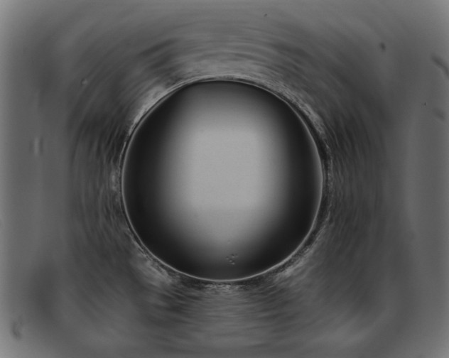 X0000093361529200710111445