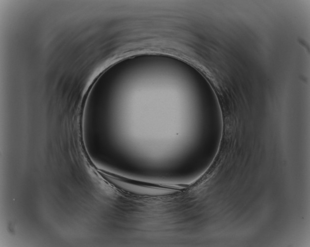 X0000093361530200710111445