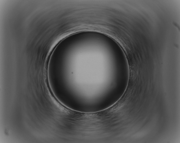 X0000093361531200710111445