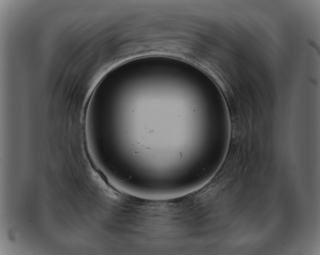 X0000093361532200710111445