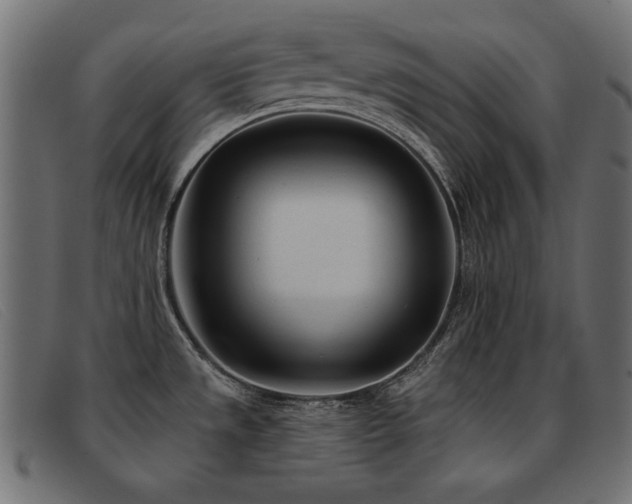 X0000093361533200710111445