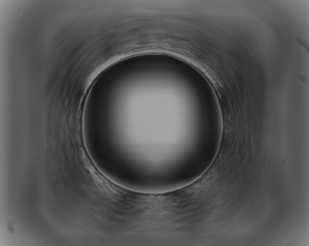 X0000093361534200710111445