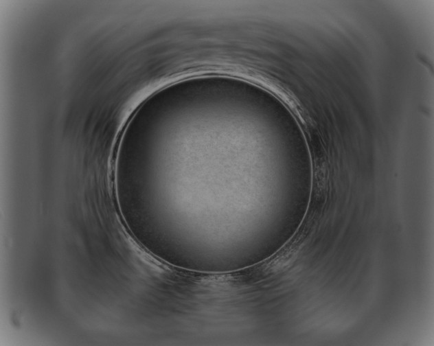 X0000093361535200710111445