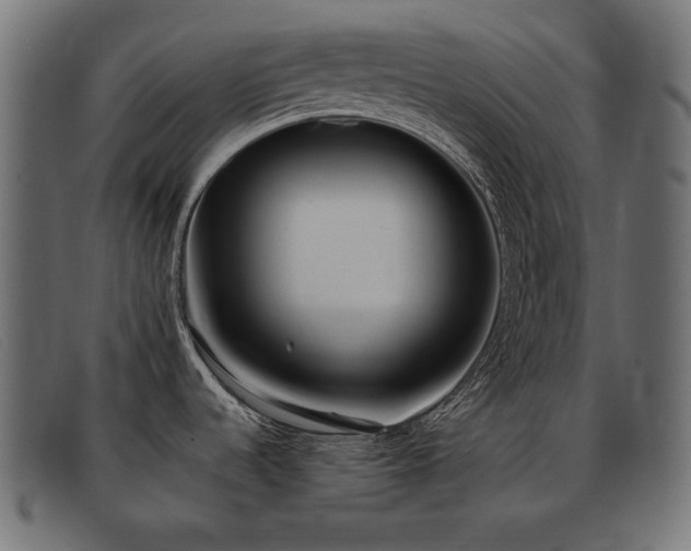 X0000093361536200710111445