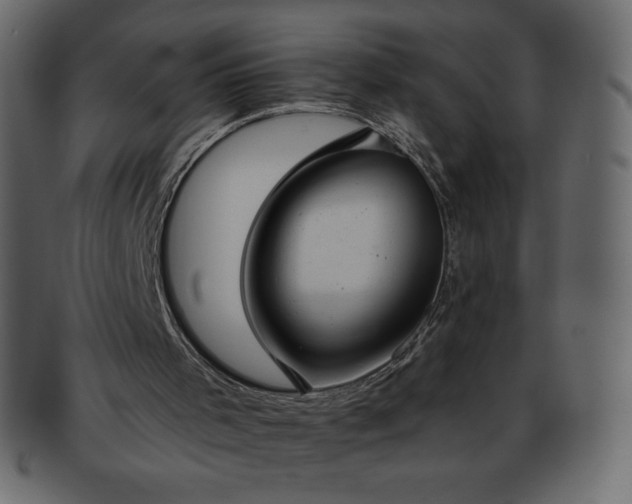 X0000093360001200710191106