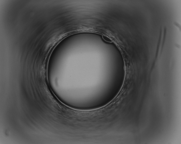 X0000093360002200710191106