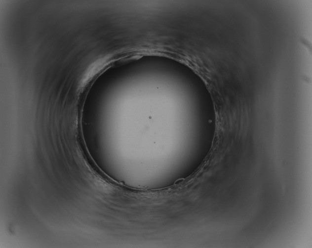 X0000093360005200710191106