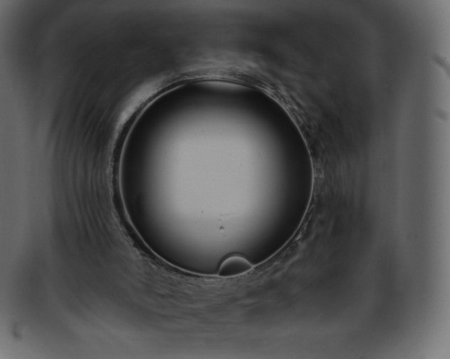 X0000093360006200710191106